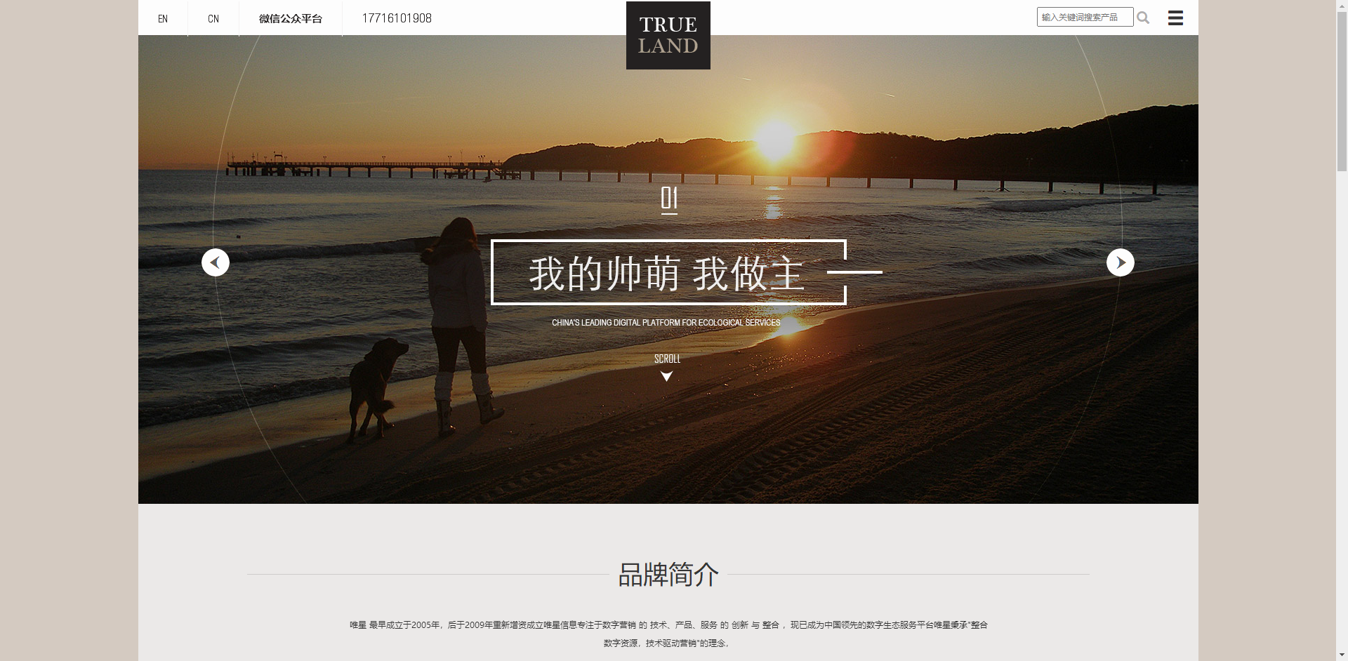 宠物培训机构自适应网站模板